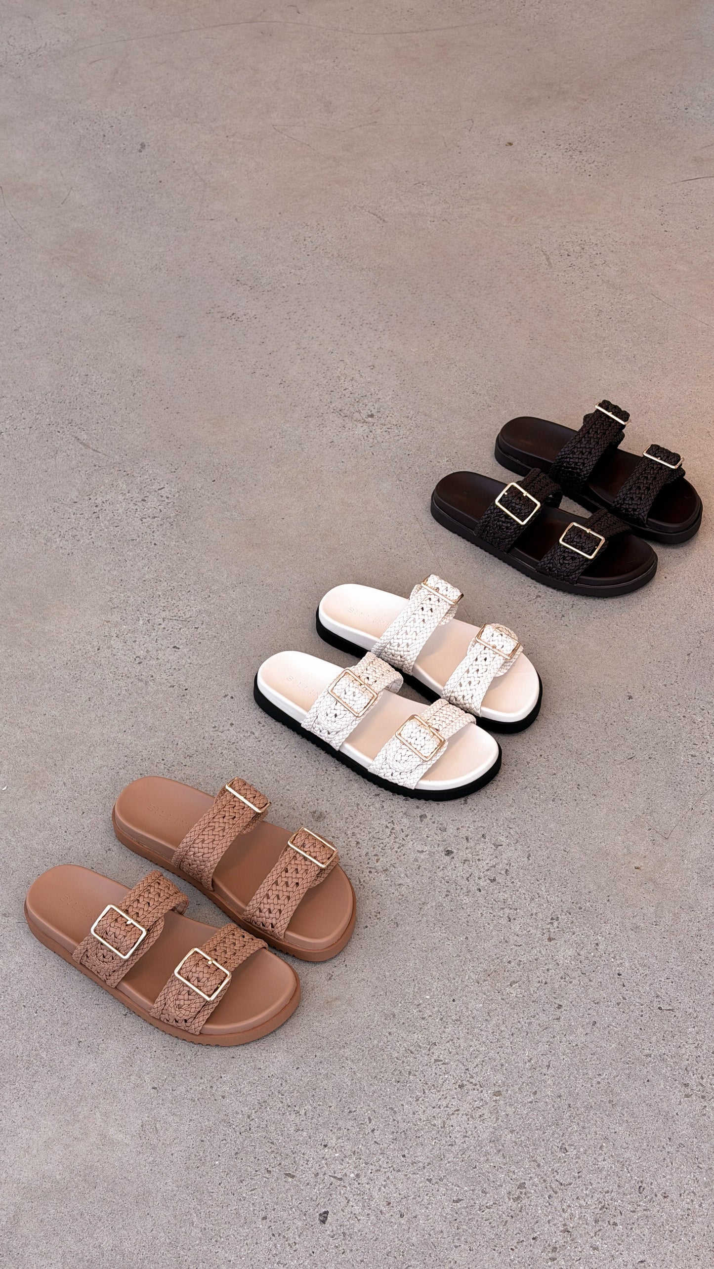 Aprila Slides - Bone